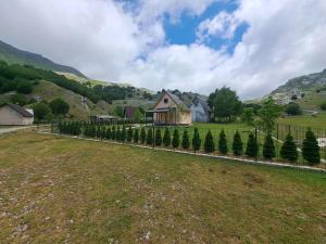 a house in a field with christmas trees at Katun Mokra in Podgorica