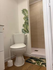 a bathroom with a toilet and a shower at Escale Tropicale in Lectoure