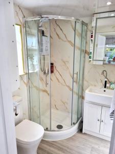 a bathroom with a shower with a toilet and a sink at The Witterings Bed and Breakfast in Chichester +20 photos