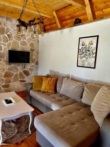 a living room with a couch and a stone wall at Apartman Djina Zabljak in Žabljak