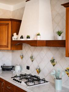 a kitchen with a stove top with potted plants at Villa Porpora Luxury Design in Modena