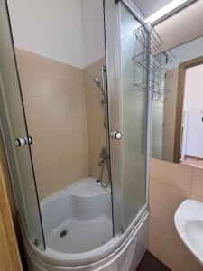 a bathroom with a shower and a sink at Twin-Tam House in Timişoara +10 photos