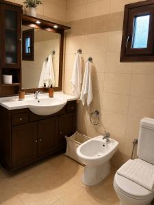 a bathroom with a sink and a toilet and a mirror at Daphne Villas in Kriopigi +60 photos