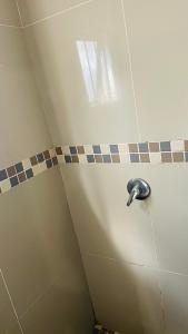 a shower stall with a dolphin on the wall at Umthombo guest house in Mbabane +23 photos