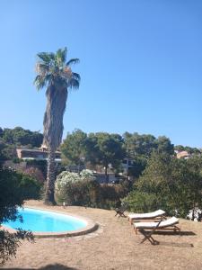 a palm tree and two lounge chairs next to a pool at Private pool and garden in Cunit