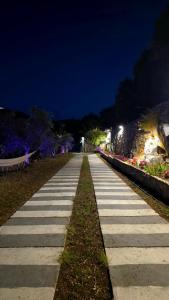 a long walkway at night with lights at Maison de Bentaël in Jbeil