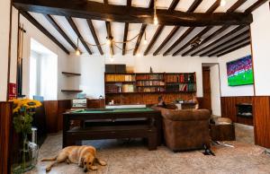 a dog laying on the floor in a room with a piano at Rivera de Poulo in Ordes