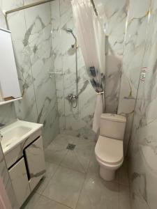 a bathroom with a shower and a toilet and a sink at Elida Guest Rooms in Cholpon-Ata