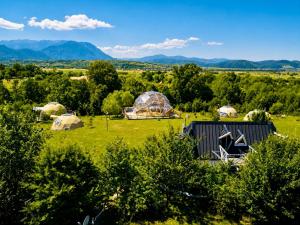 a group of tents in a field with mountains in the background at Soho-place in Bran