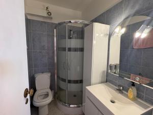 a bathroom with a shower and a toilet and a sink at The Arade Riverview in Portimão