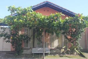 eine Bank unter einem Baum vor einem Gebäude in der Unterkunft Ubatuba Surf Spot in Ubatuba