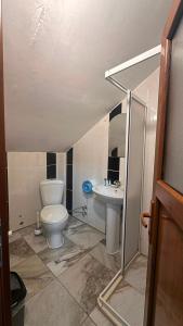 a bathroom with a toilet and a sink at Kuzey Suite Otel in Uzungöl +12 photos
