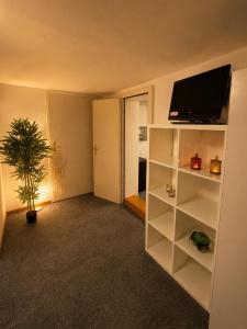 a living room with a flat screen tv on a shelf at Old-Town Studios Zürich in Zurich