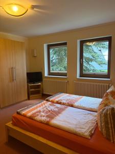 a bedroom with two beds and a tv and two windows at Haus Oberwiesenthal in Kurort Oberwiesenthal