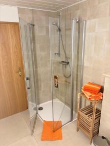 a shower with a glass door in a bathroom at Haus Oberwiesenthal in Kurort Oberwiesenthal +36 photos
