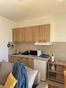 a kitchen with a couch and a microwave on a counter at Apartman Lambros 2 in Soko Banja +1 photo