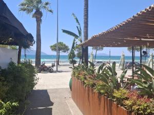 a view of a beach with a palm tree and the ocean at Del Mare Rooms in Vlorë