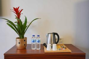 a table with a potted plant and water bottles on it at Violin Hotel Sultanahmet in Istanbul