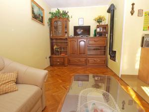 Televízia a/alebo spoločenská miestnosť v ubytovaní Apartments Pula 926