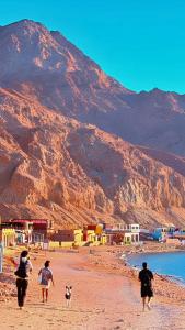 a group of people walking on a beach with a dog at Ira Hostel in Dahab