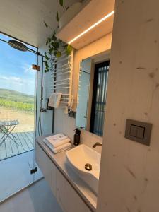 a bathroom with a sink and a mirror at Glamping Domik Tokaj in Malá Tŕňa