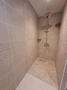 a bathroom with a shower with a tiled shower at La remise de Saussenigoutte in Cornimont +18 photos