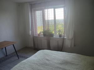a bedroom with a bed and a window with potted plants at Уютная комната в квартире в ЖК Одесский Бульвар in Teremki