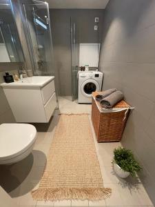 a bathroom with a toilet sink and a washing machine at Modern apartment with a private garage in Lørenskog Oslo in Lorenskog +8 photos