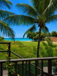 a palm tree on a balcony with the ocean at Alisios Kite Lodge in Cumbuco