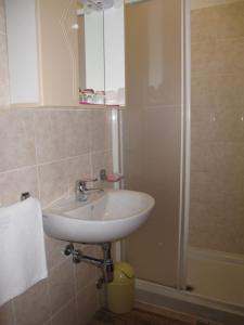 a bathroom with a sink and a shower at Apartments Roza in Rošini +28 photos