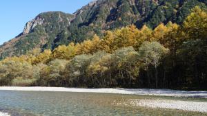 a river with trees and mountains in the background at Tabist Kazeyuki in Takayama +50 photos