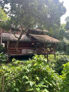 a house with a straw roof and a tree at Lodge Ti Zaboka , SPA Privatif in Les Abymes