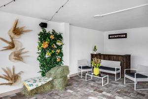 a waiting room with flowers on the wall at Dallas in Solotvyno +96 photos