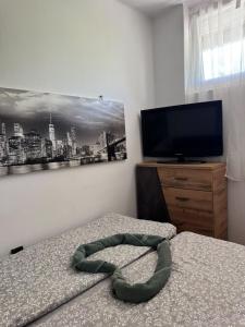 a room with a bed and a television with a snake on it at Dodi Apartman in Vonyarcvashegy
