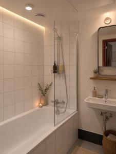 a bathroom with a shower and a tub and a sink at Maison Bruxelles in Brussels