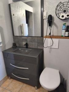 a bathroom with a sink and a toilet and a mirror at Gîte la Forterie in Linières-Bouton