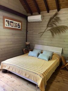 a bedroom with a bed in a wooden wall at Lodge Ti Zaboka , SPA Privatif in Les Abymes