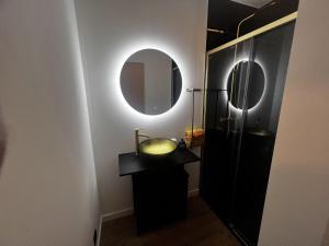 a bathroom with a sink and a mirror at Studi'eau2 in Ostend +7 photos