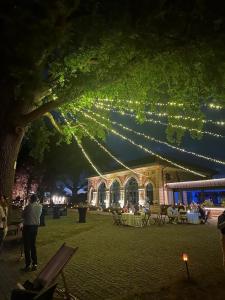 a group of lights hanging from a tree at night at ORANGERIE de CHATEL-Selection FIGARO & ELLE Magazine in Cleppé +167 photos