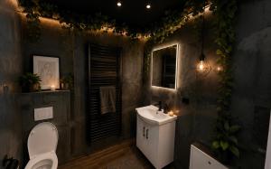 a bathroom with a toilet and a sink with lights at LWS Apartments in Dej