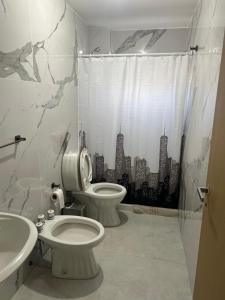 a bathroom with a toilet and a sink at Austral Premium in Comodoro Rivadavia