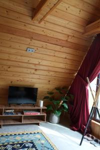 โทรทัศน์และ/หรือระบบความบันเทิงของ Chalet 1391
