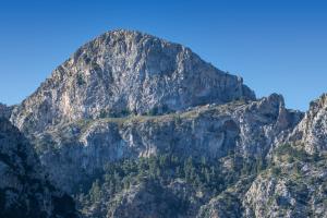 a mountain with trees on it with a blue sky at Can Mayol in Fornalutx