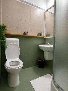 a bathroom with a toilet and a sink at Cabana Xtreme - Valiug in Văliug