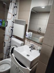 a bathroom with a sink and a toilet and a mirror at Domaćinstvo Nikolić-Milicevo Selo in Požega +38 photos