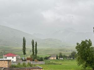 a green field with trees and mountains in the background at AI-NUR guest house in Shabdan
