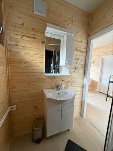 a bathroom with a sink and a mirror at Splav Zoi Perucac in Aluga