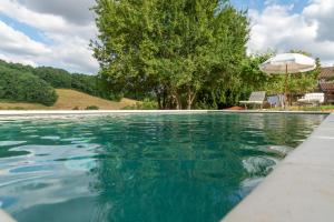 a swimming pool with an umbrella and the water at La Bastide de Sherlock in Troncens +30 photos