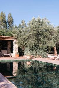 a pool in a yard with two chairs and trees at Sel d Ailleurs, Ouirgan - adults only in Ouirgane