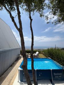 a pool with a tree next to a house at Moobs Sunset Cabins in Batroûn